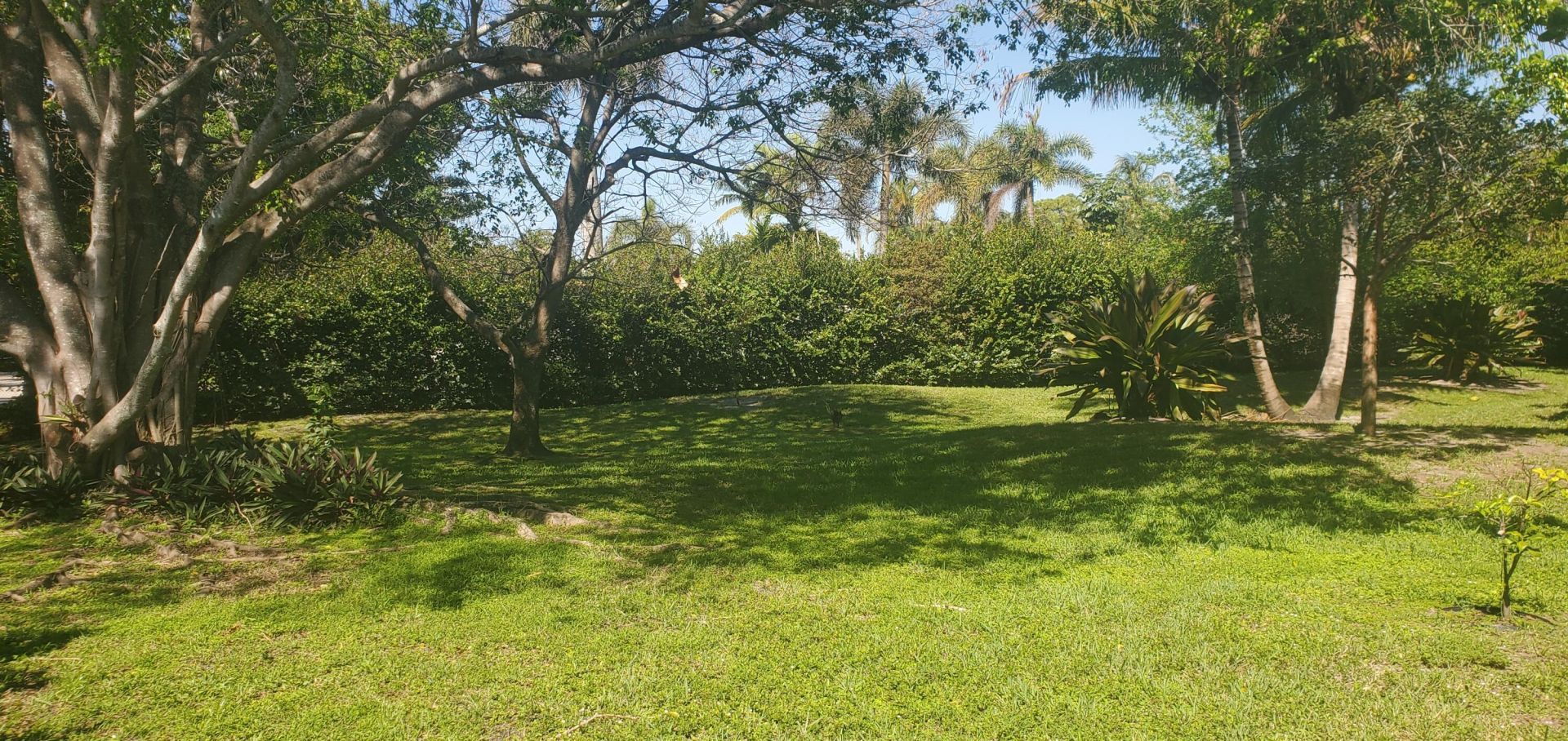 842 NE 20th Drive, Unit 842, Wilton Manors, FL 33305 Photo