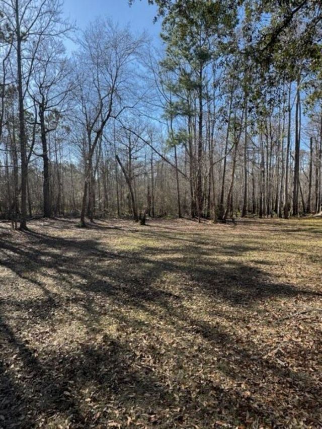 5108 Pitch Landing Dr. Photo 4