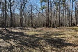 5108 Pitch Landing Dr. photo 4