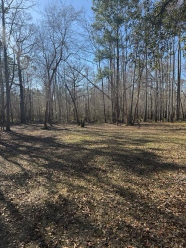 5108 Pitch Landing Dr. Photo 5