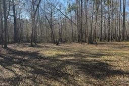 5108 Pitch Landing Dr. photo 4