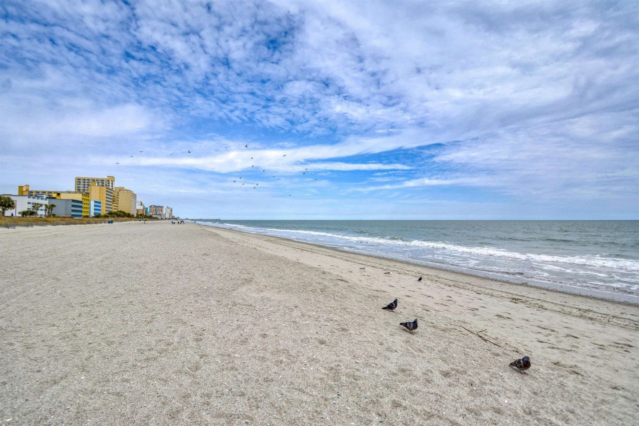 1501 Ocean Blvd. S Photo 33