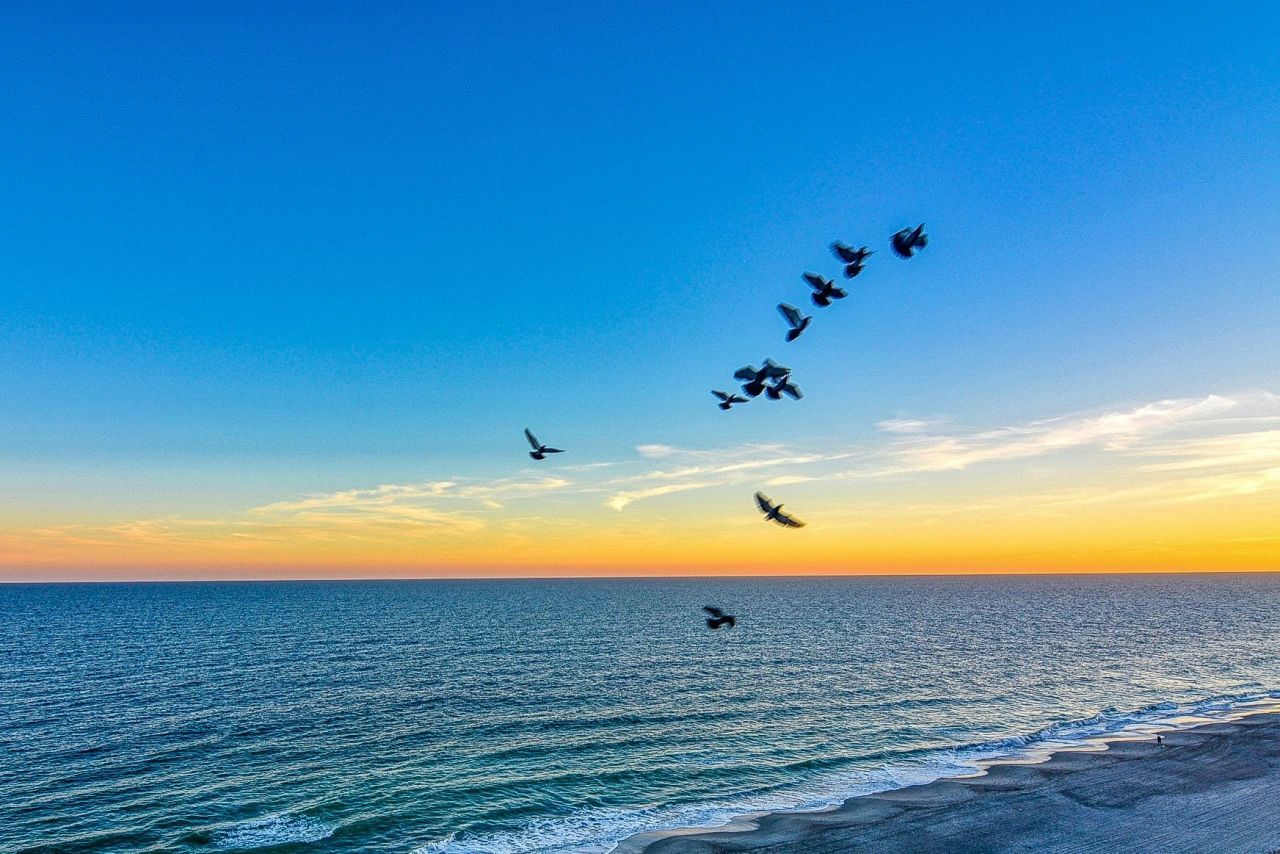 1501 Ocean Blvd. S Photo 37