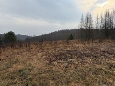 0 Co Hwy 16, Burlington Flats, NY 13315