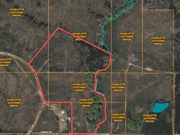 0 Delancey Road, Braxton, MS 39044