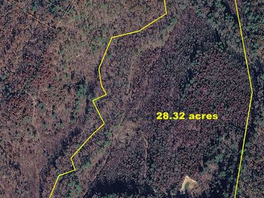 4600 Green Forest Ave , Buena Vista, VA 24416