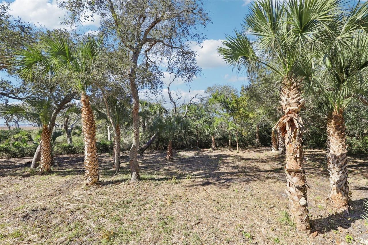 205 S Ocean Grande Drive , Unit 104, Ponte Vedra Beach, FL 32082 Photo