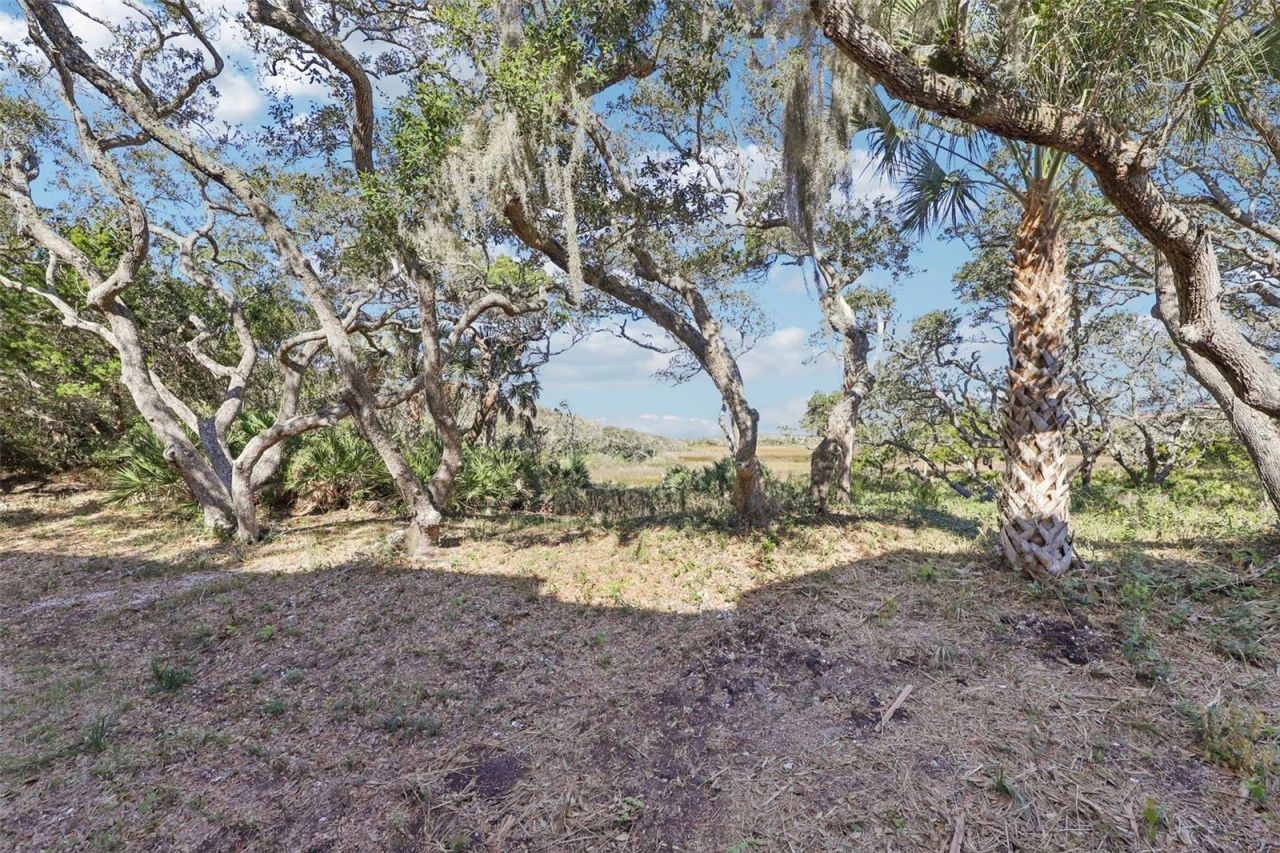 205 S Ocean Grande Drive , Unit 104, Ponte Vedra Beach, FL 32082 Photo