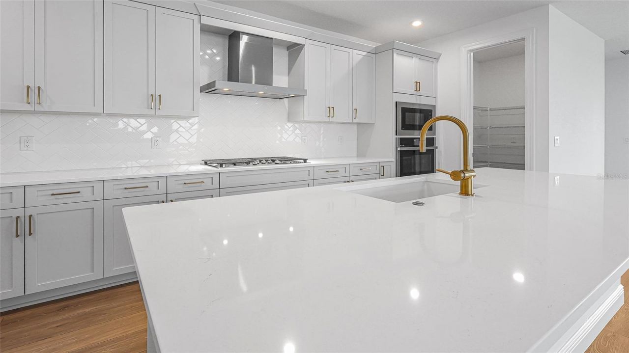 14375 Hammock Oak Street , Parrish, FL 34219 Photo