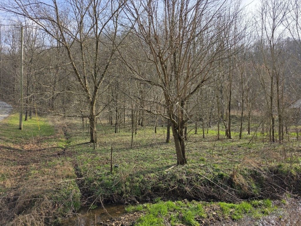 0 Austin Hollow, Pleasant Shade, TN 37145 Main Photo