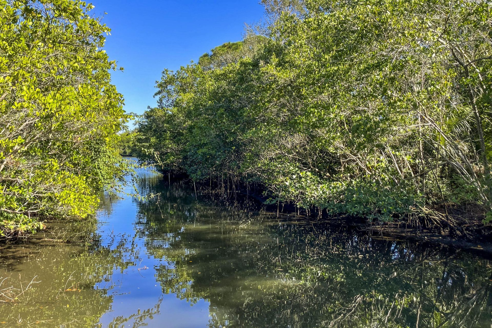 134 Shores Pointe Drive, Jupiter, FL 33458 Photo