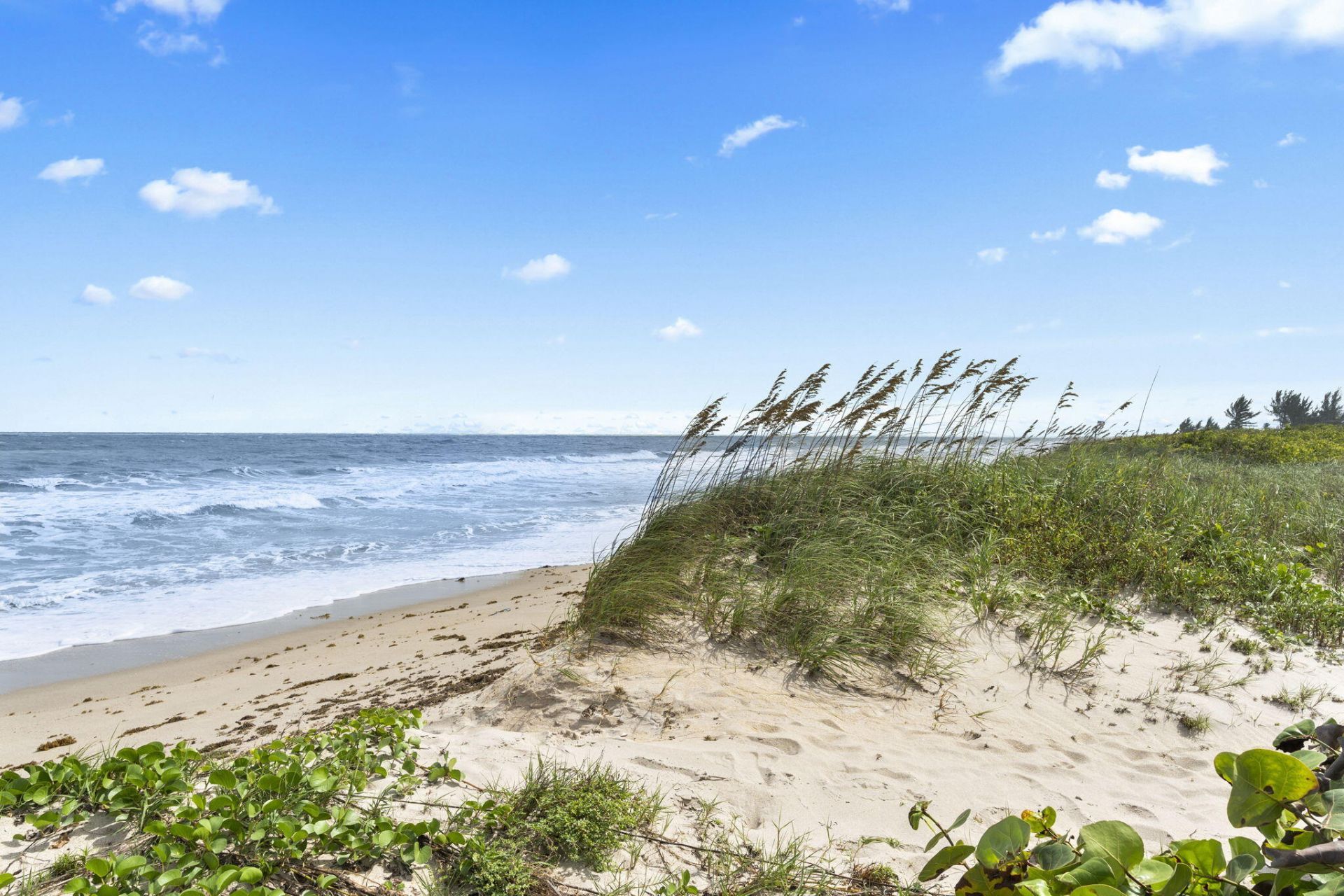 419 N 2nd Street, Fort Pierce, FL 34950 Photo