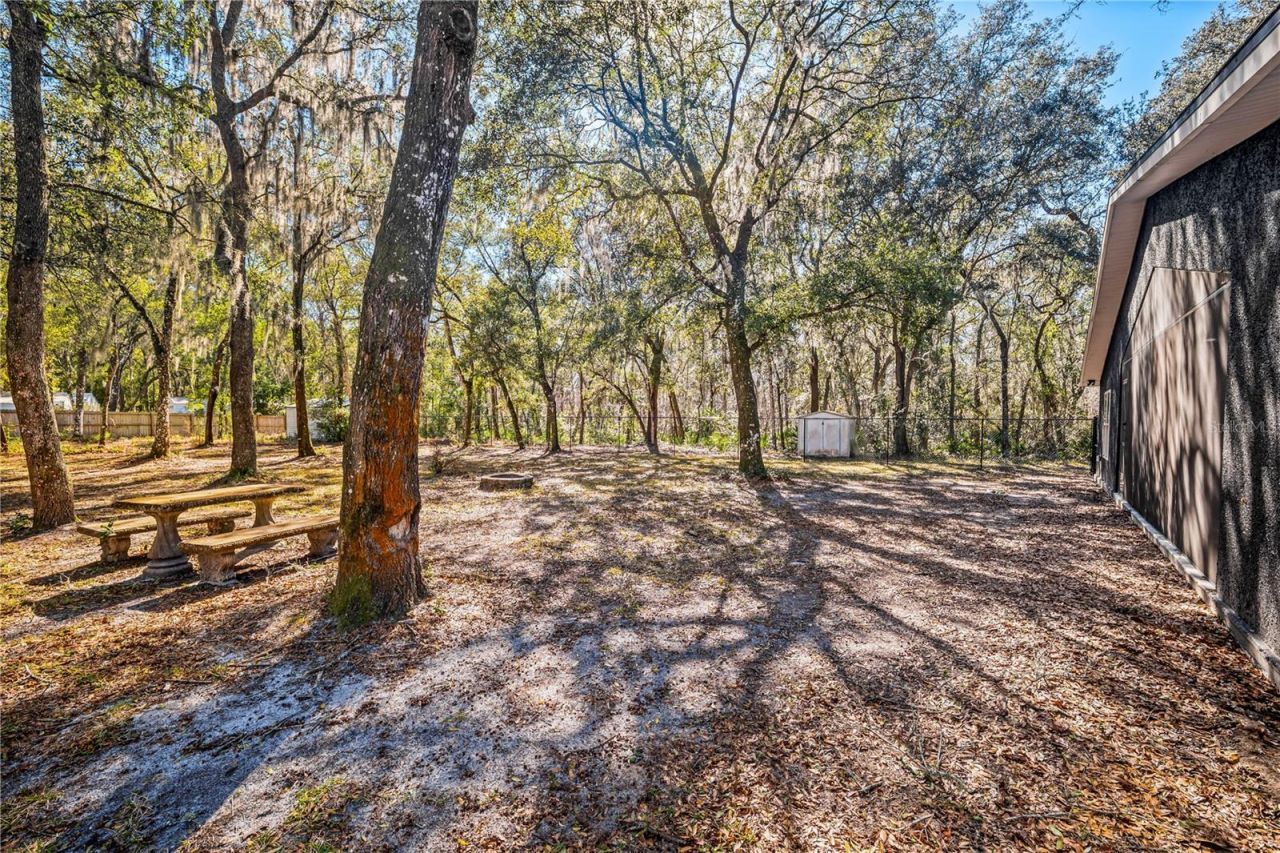 2950 Kings Road, Saint Augustine, FL 32086 Photo