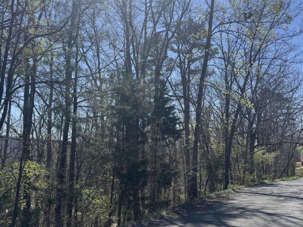 Lot 21 Stoney Point Circle, Rocky Face, GA 30740