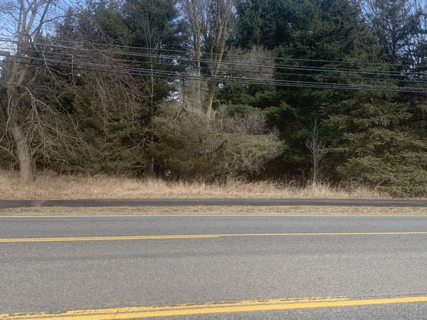 Parcel A W shaw Street, Howard City, MI 49329