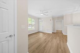 45 Sycamore Avenue photo 4