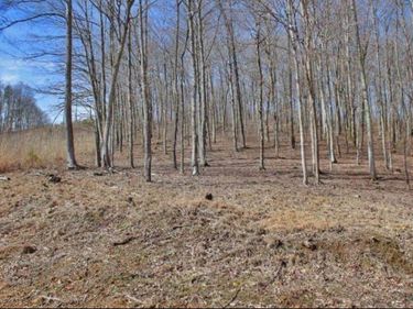 1230 Haynes Knob Road, Somerset, KY 42501