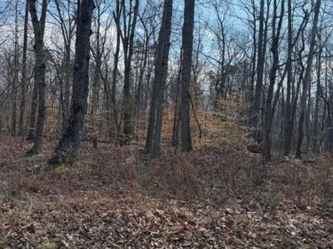 EDWARDS SHOP ROAD , ELKWOOD, VA 22718