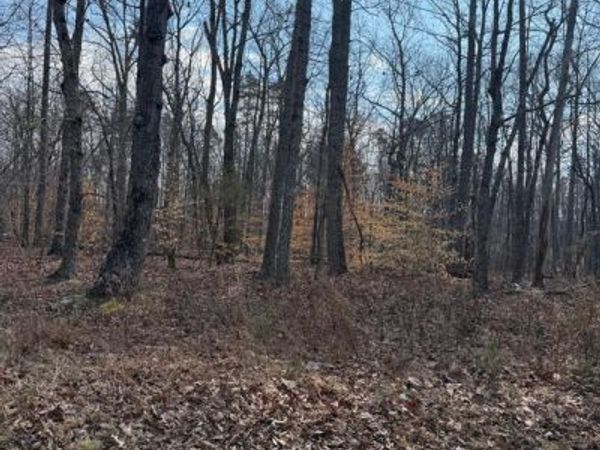 EDWARDS SHOP ROAD, ELKWOOD, VA 22718