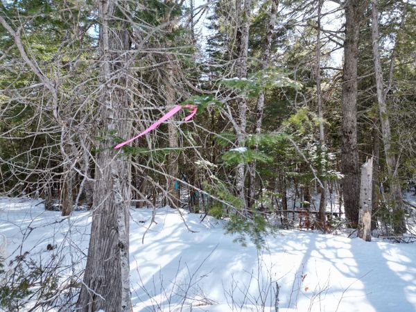 20 Twin Springs Lane, Lincoln, ME 04457