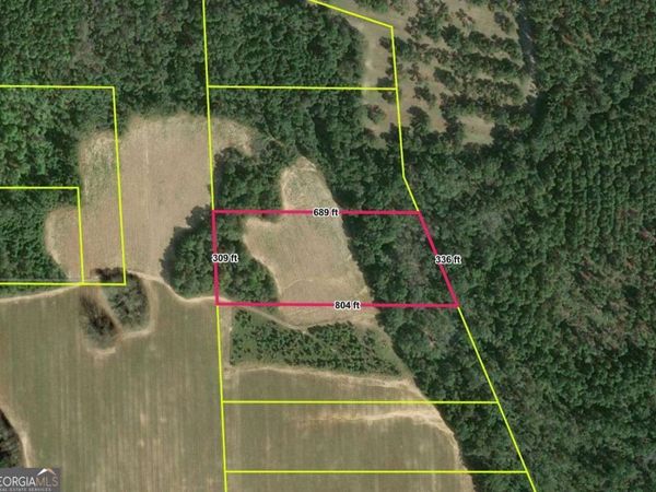 0 Webster Road, Waynesboro, GA 30830