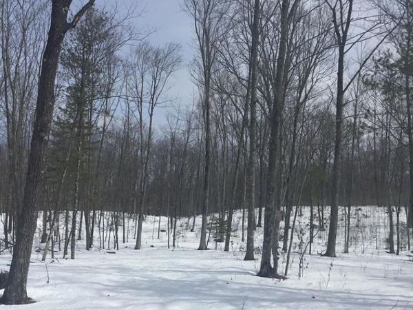 RHETT LANE, Wausaukee, WI 54177