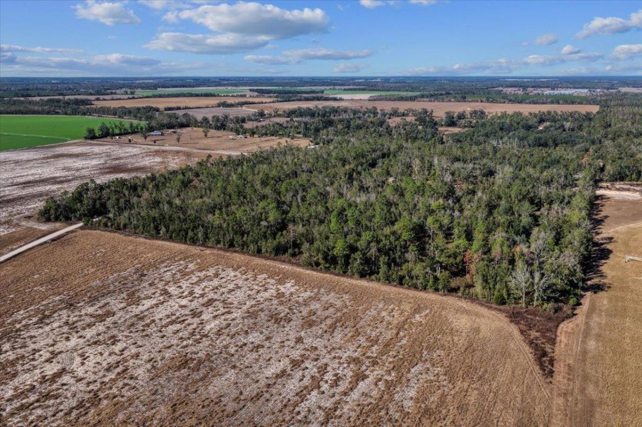 00 SE Camelot Way , Lee, FL 32059 Photo