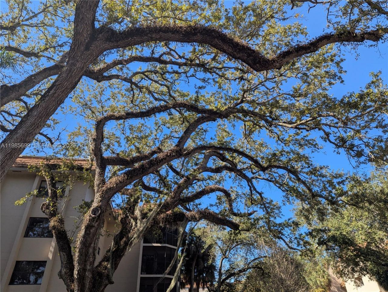 601 Ives Dairy Rd , Unit 103-8, Miami, FL 33179 Photo