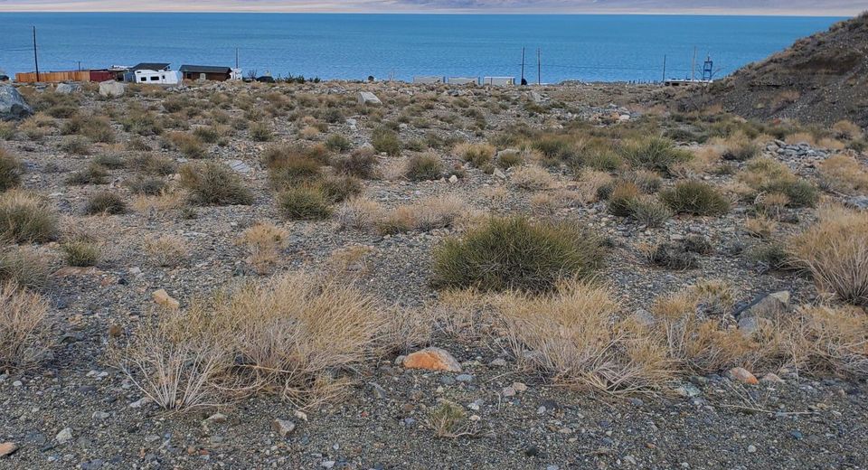 226 Debbie Drive, Walker Lake, NV 89415 Photo