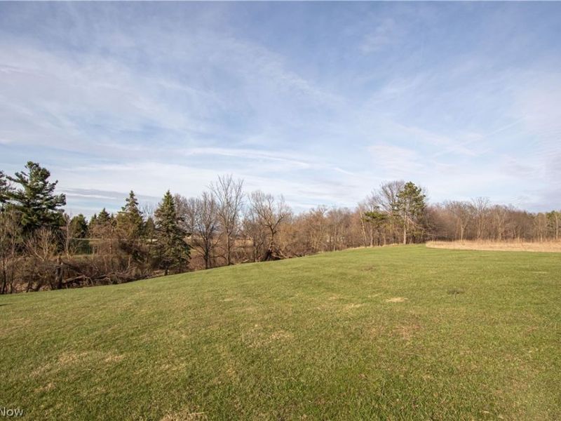 Norwalk Road , Litchfield, OH 44253 Photo 12