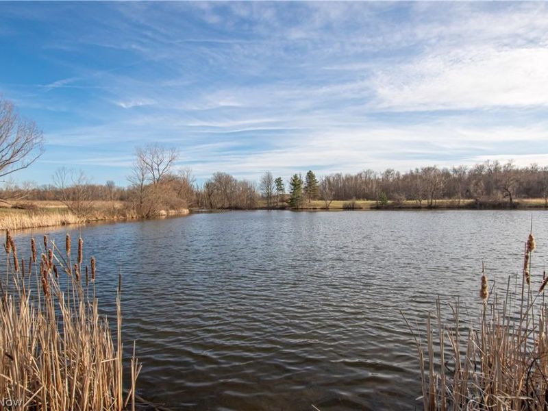 Norwalk Road , Litchfield, OH 44253 Photo 13