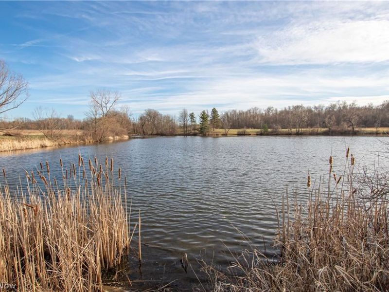 Norwalk Road , Litchfield, OH 44253 Photo 14