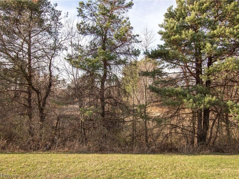 Norwalk Road , Litchfield, OH 44253 Photo 16