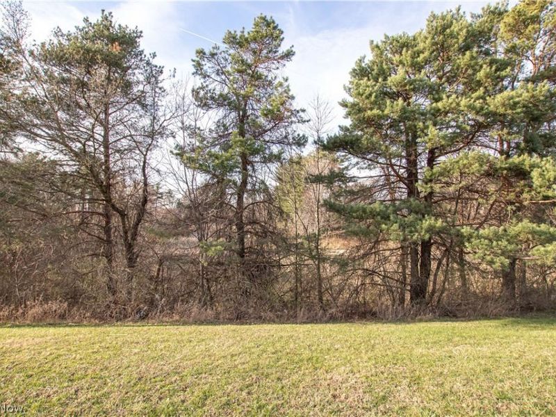 Norwalk Road , Litchfield, OH 44253 Photo 17