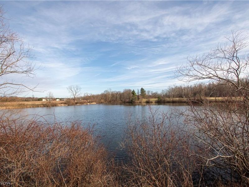 Norwalk Road , Litchfield, OH 44253 Photo 18