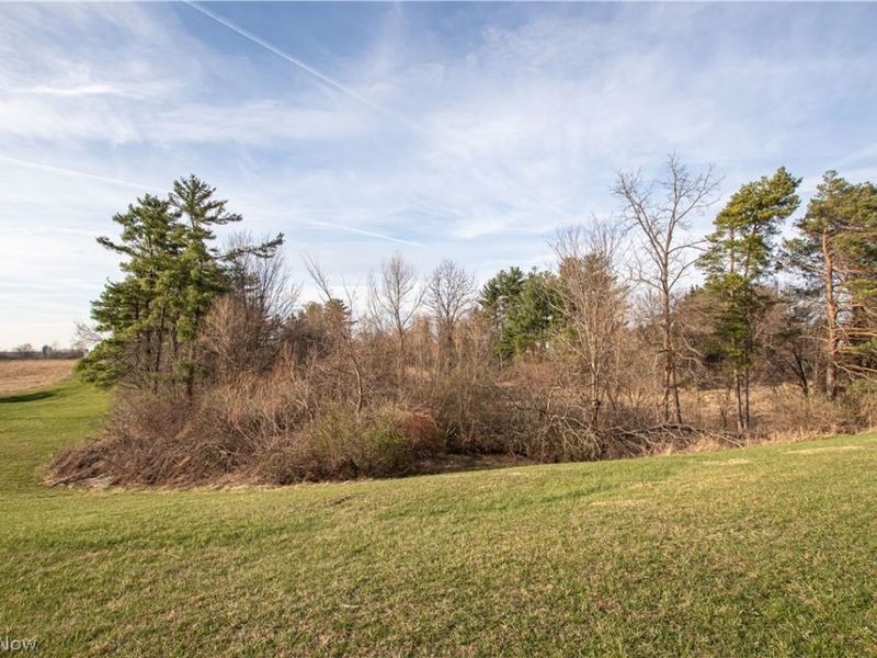 Norwalk Road , Litchfield, OH 44253 Photo 19