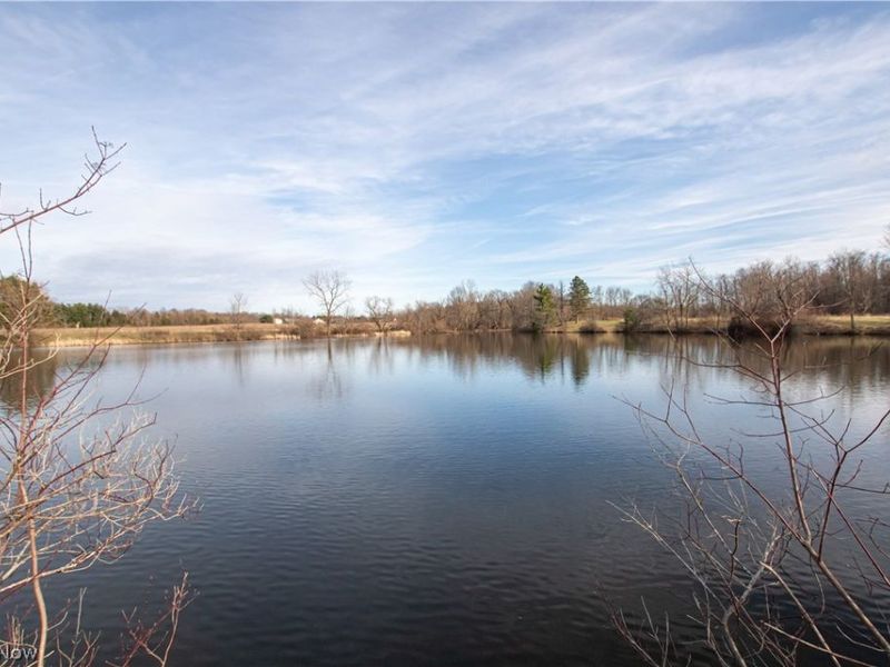 Norwalk Road , Litchfield, OH 44253 Photo 20