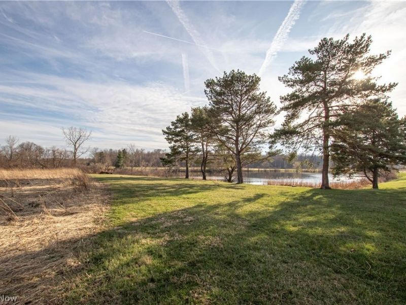 Norwalk Road , Litchfield, OH 44253 Photo 21