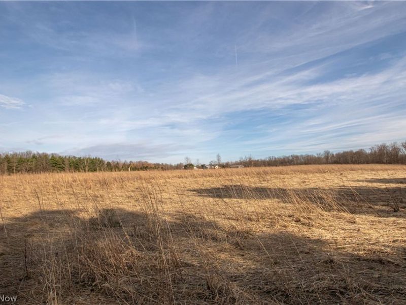 Norwalk Road , Litchfield, OH 44253 Photo 23