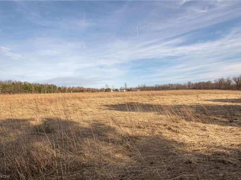 Norwalk Road , Litchfield, OH 44253 Photo 24