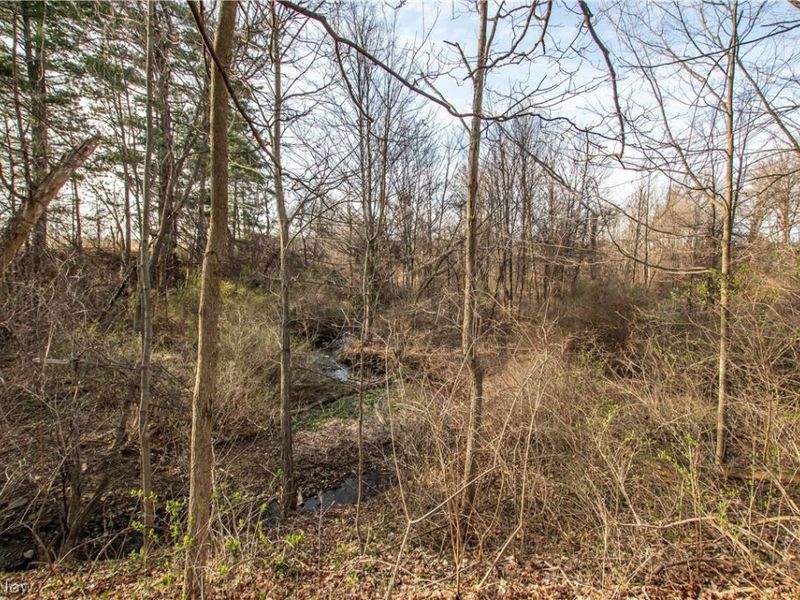 Norwalk Road , Litchfield, OH 44253 Photo 26