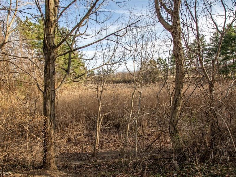 Norwalk Road , Litchfield, OH 44253 Photo 27