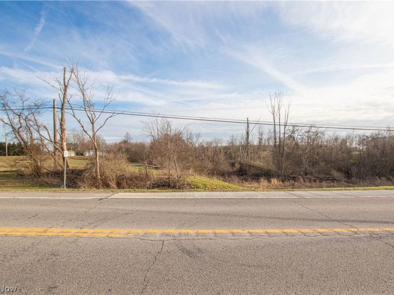 Norwalk Road , Litchfield, OH 44253 Photo 28