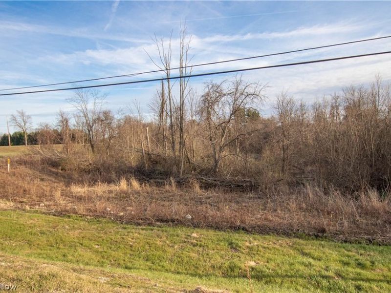 Norwalk Road , Litchfield, OH 44253 Photo 33