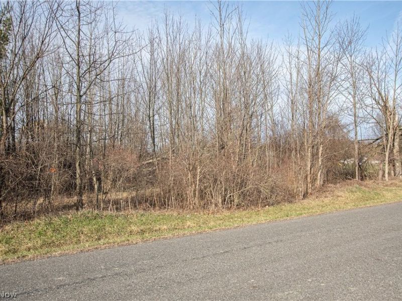 Norwalk Road , Litchfield, OH 44253 Photo 41