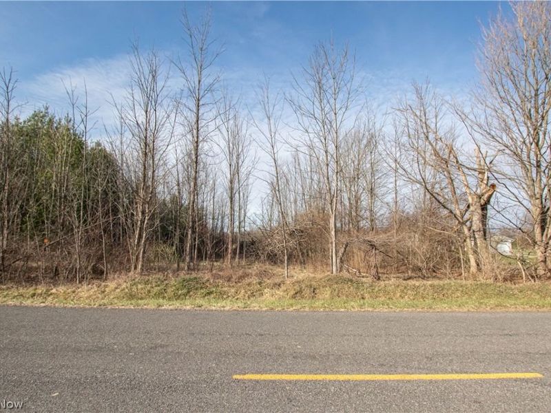 Norwalk Road , Litchfield, OH 44253 Photo 42