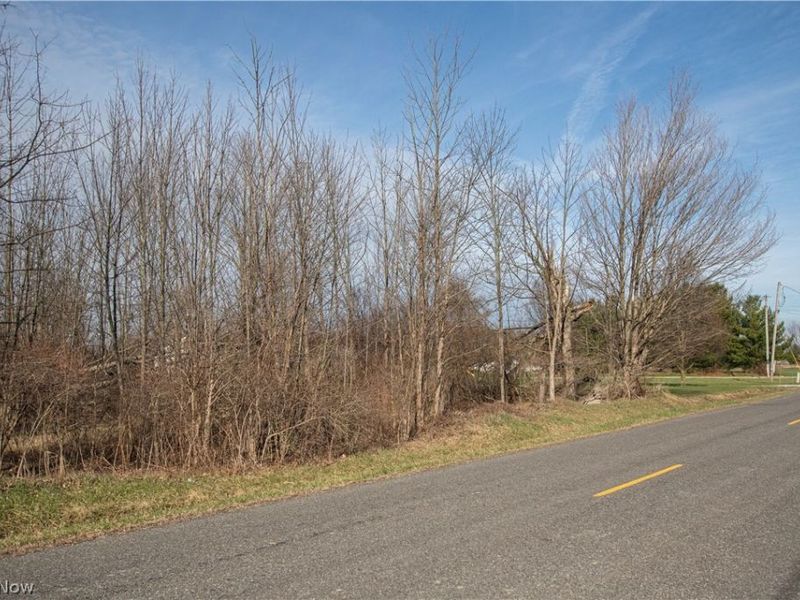 Norwalk Road , Litchfield, OH 44253 Photo 44