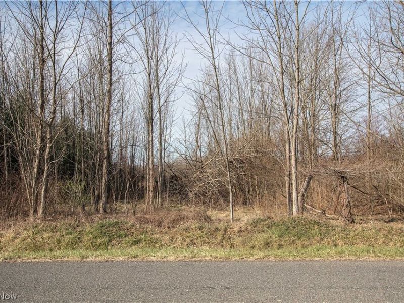 Norwalk Road , Litchfield, OH 44253 Photo 45