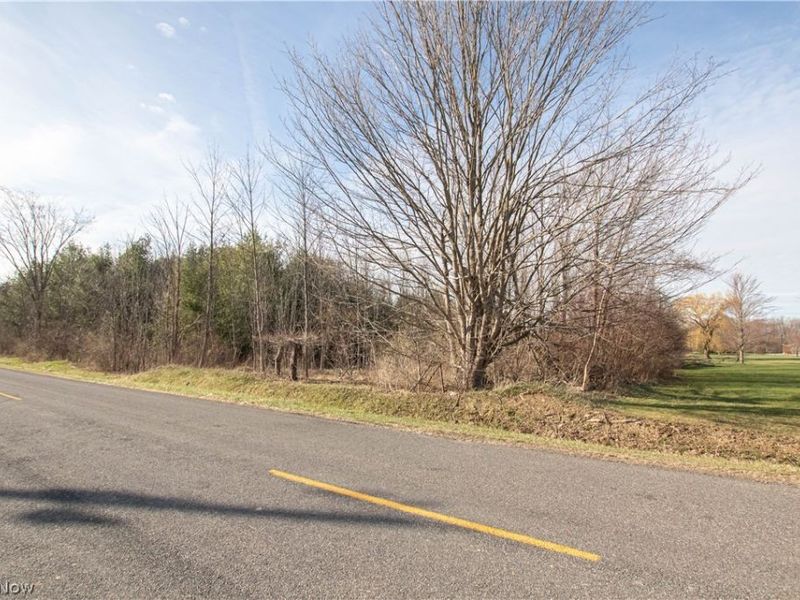 Norwalk Road , Litchfield, OH 44253 Photo 46