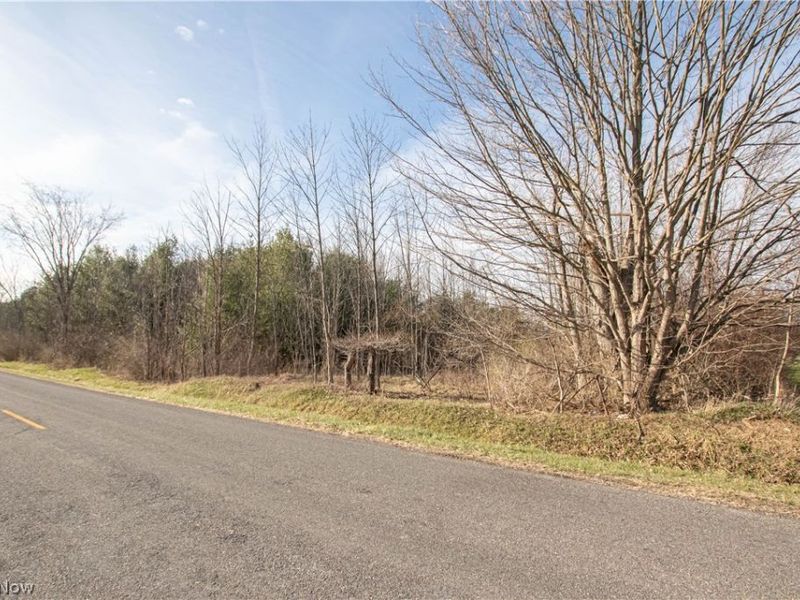 Norwalk Road , Litchfield, OH 44253 Photo 47
